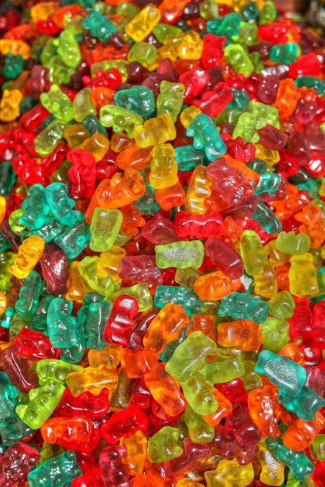 Panditas